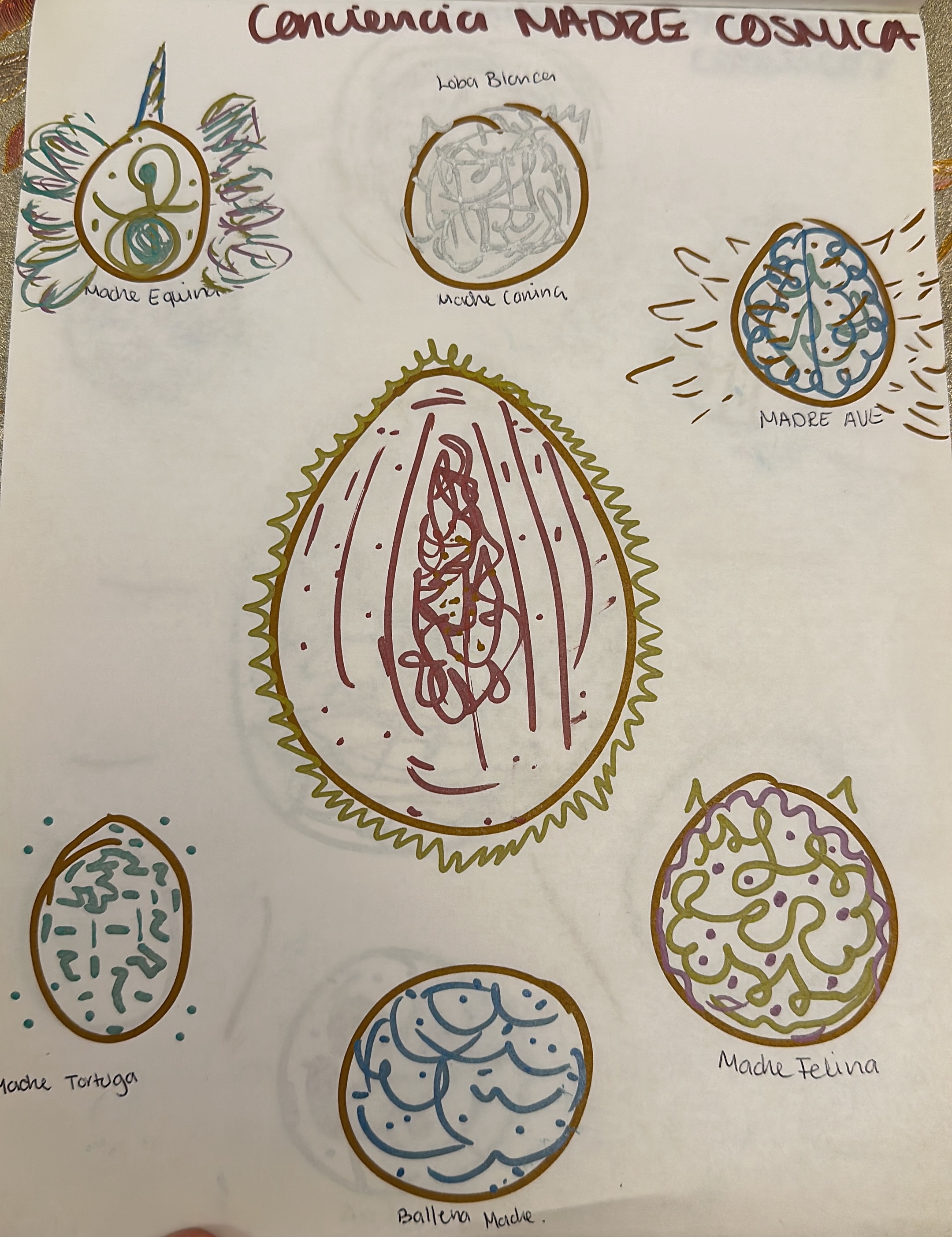 6A82FEEC 8519 495A B212 166B602E6BC5